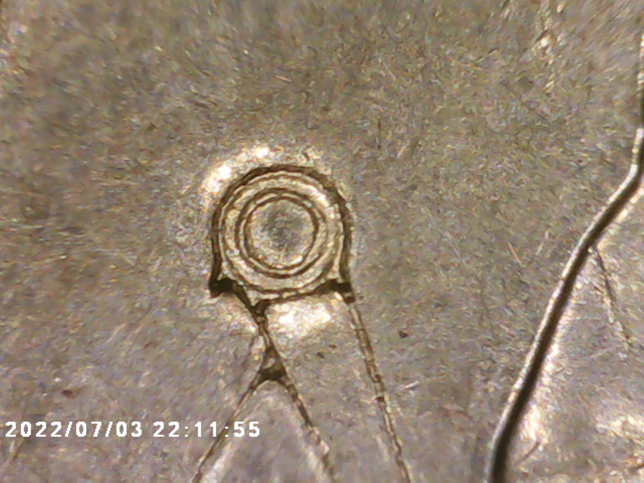 PICT0006.jpg