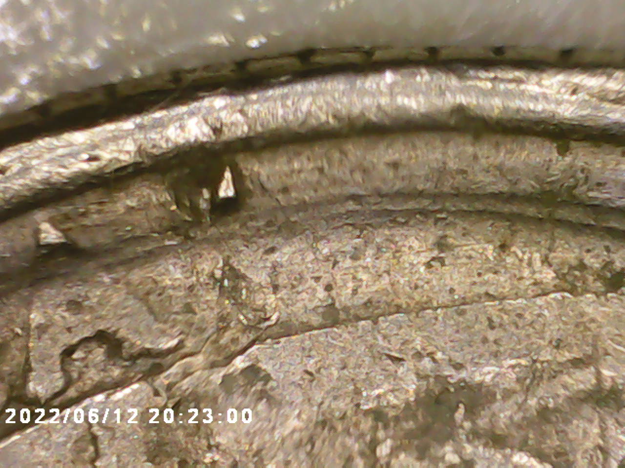 PICT0007.jpg