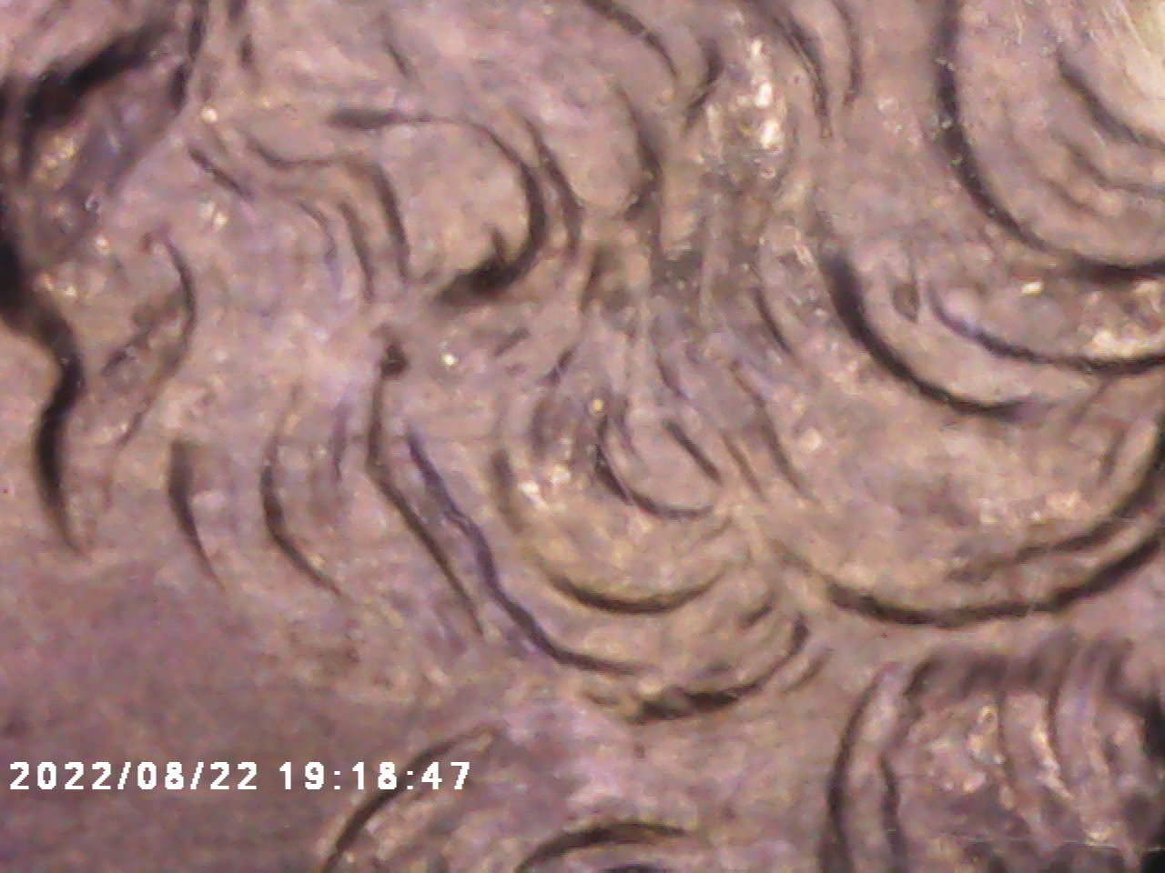 PICT0008.jpg