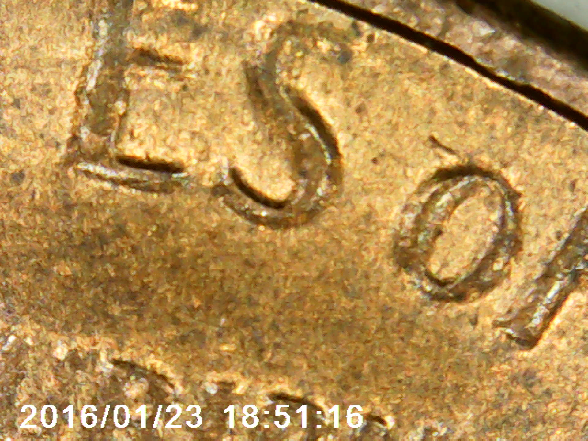 PICT0008.jpg