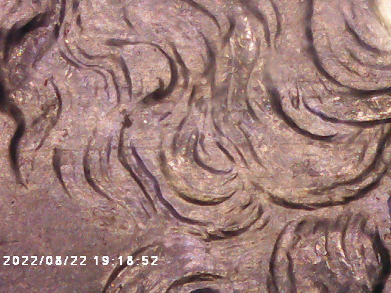 PICT0009.jpg