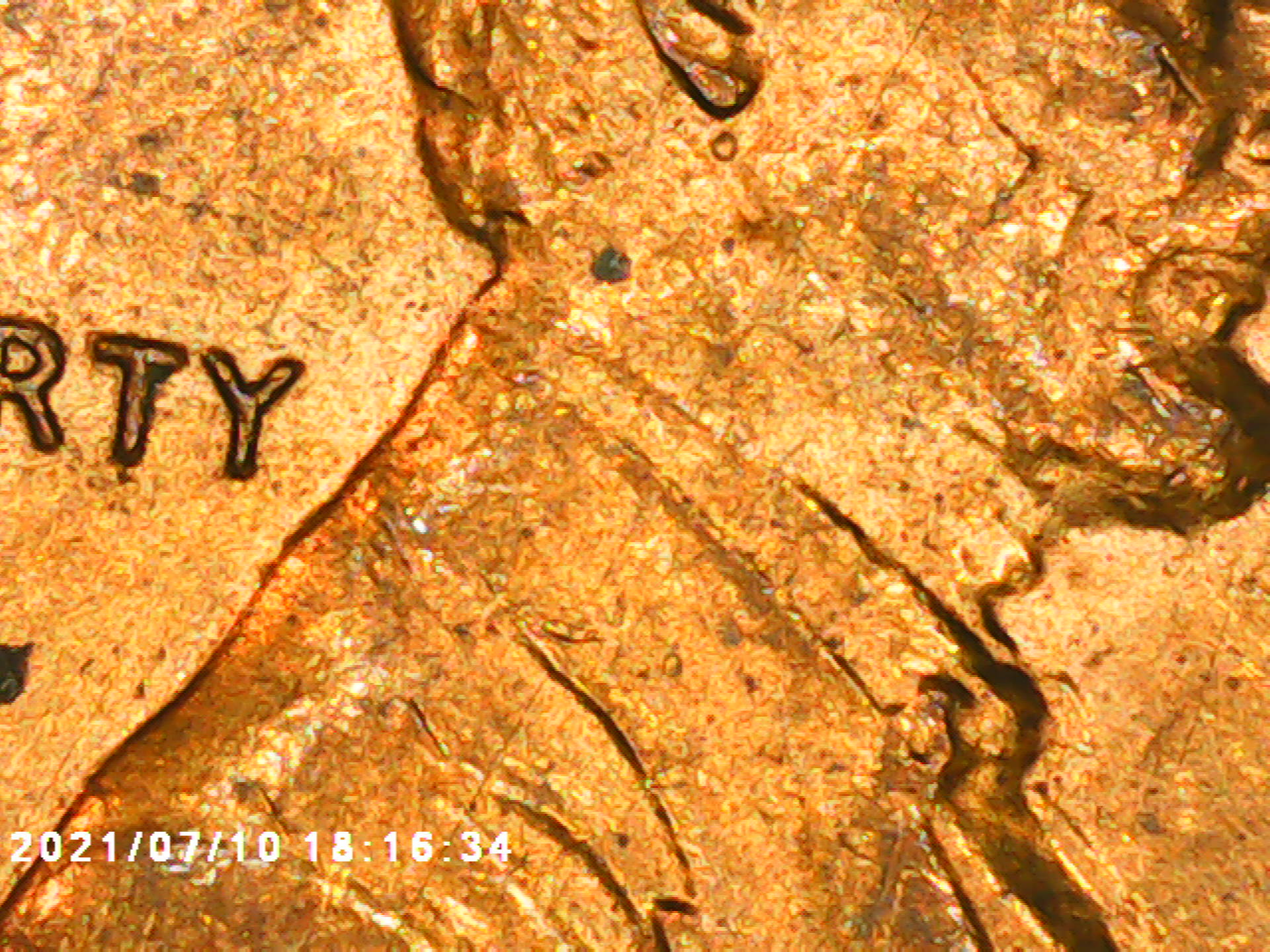 PICT0013.jpg