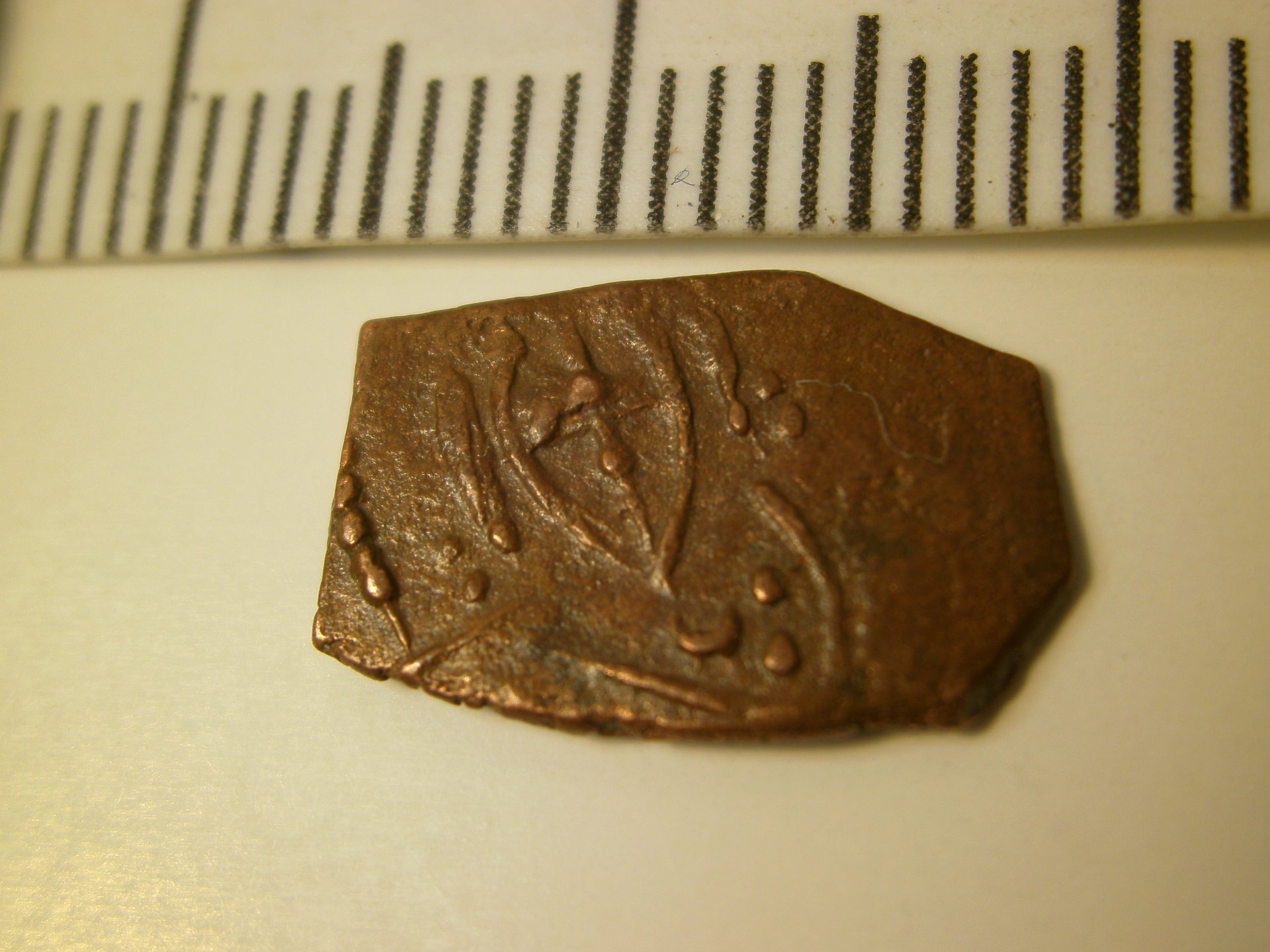 PICT0013.JPG
