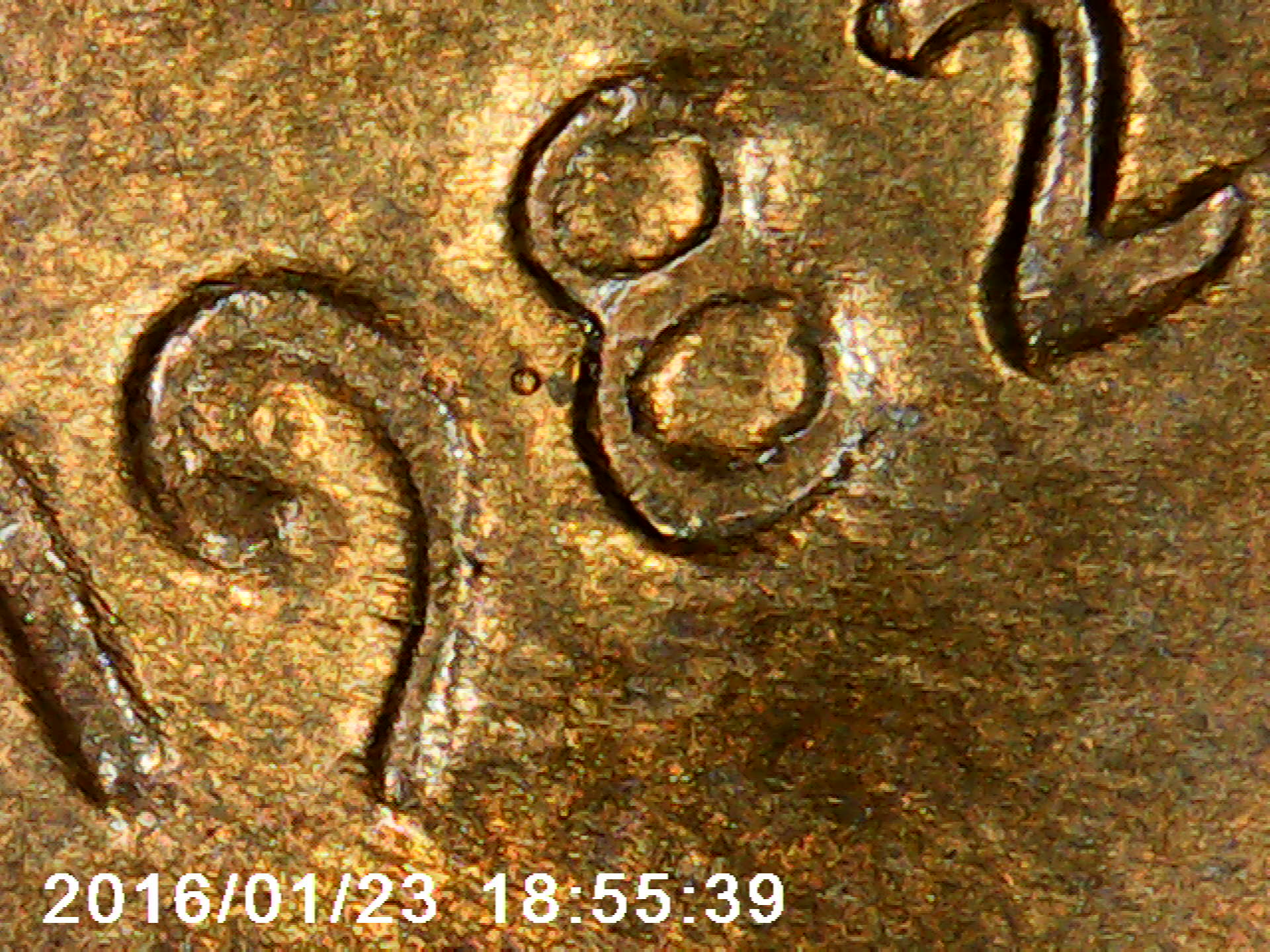PICT0013.jpg