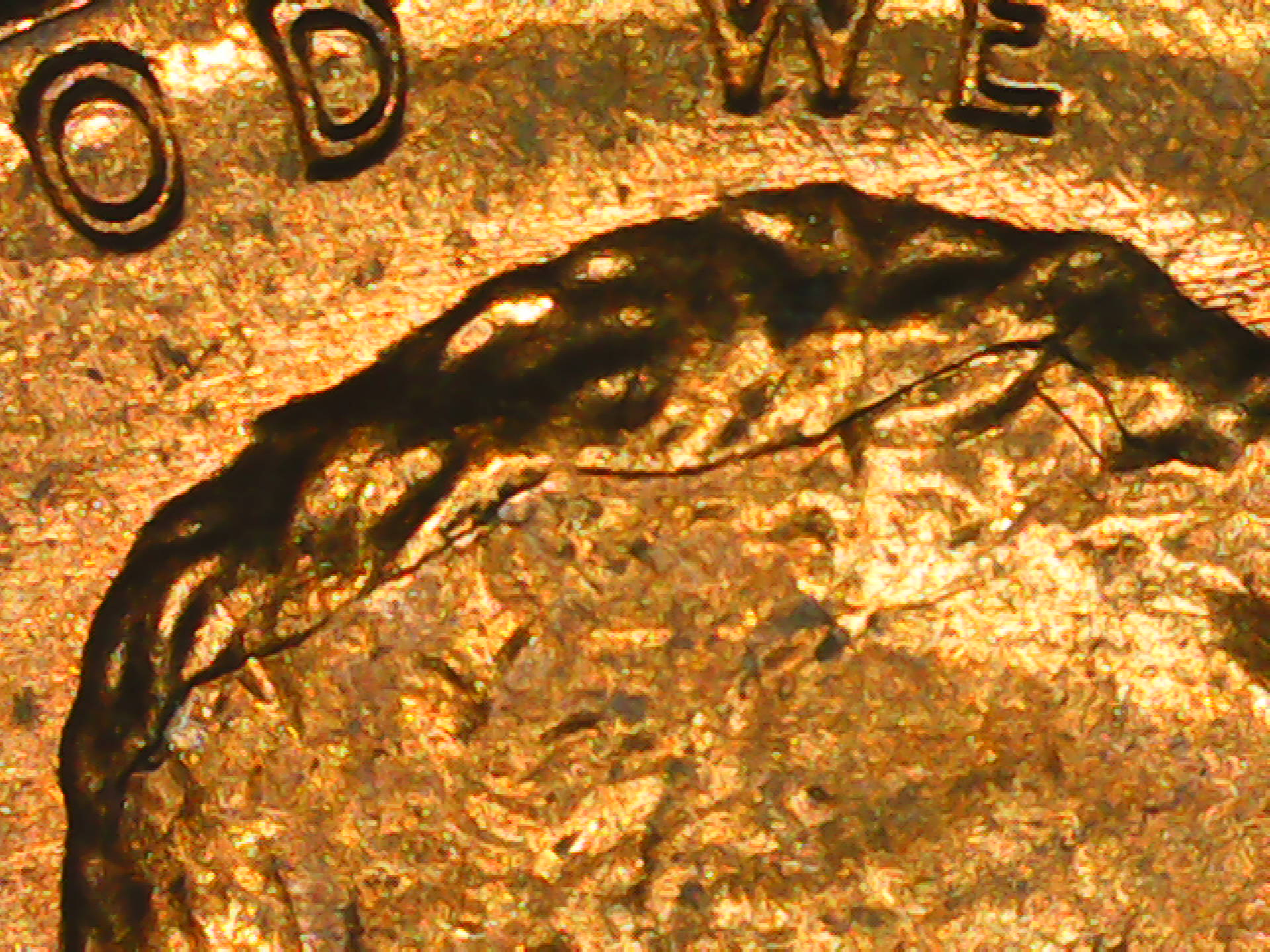 PICT0018.jpg