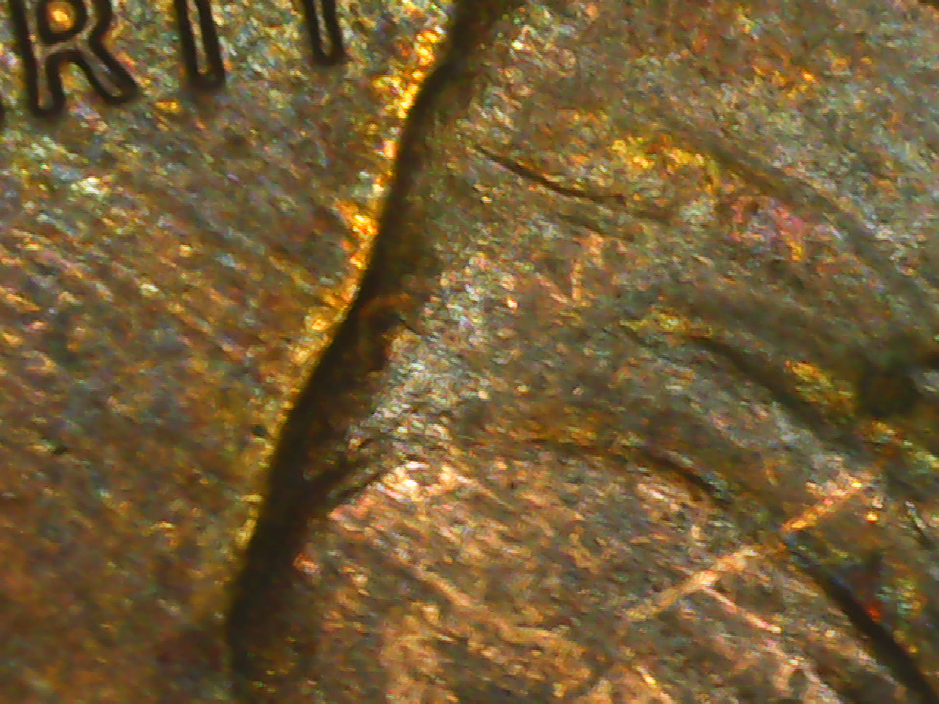 PICT0019.jpg