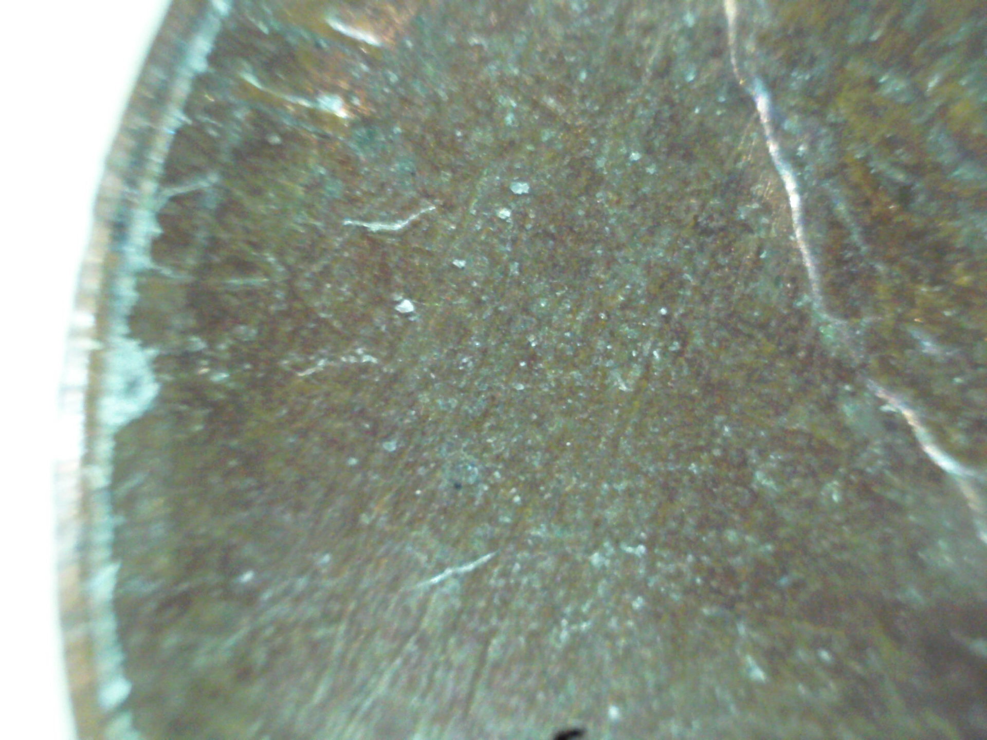 PICT0019.JPG
