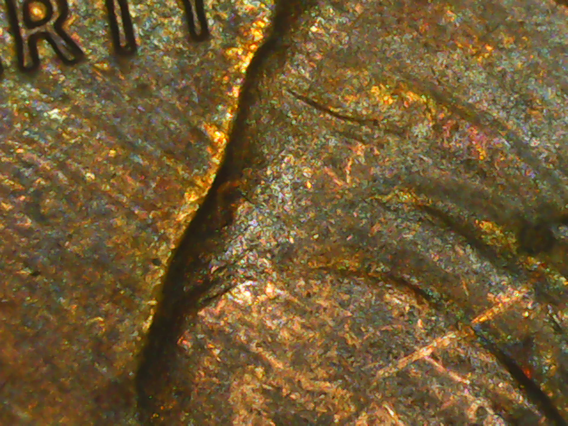 PICT0020.jpg