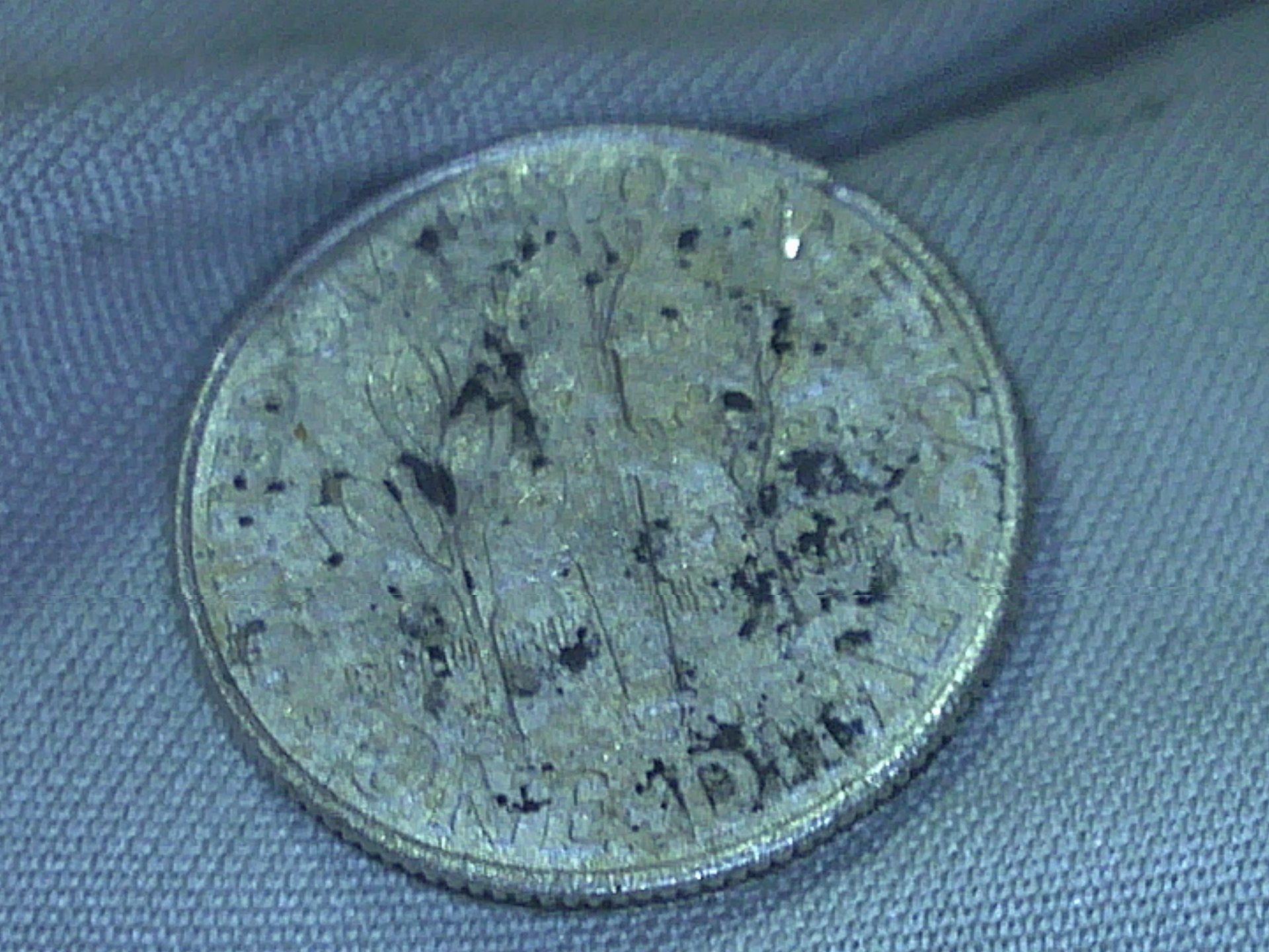 PICT0021.JPG