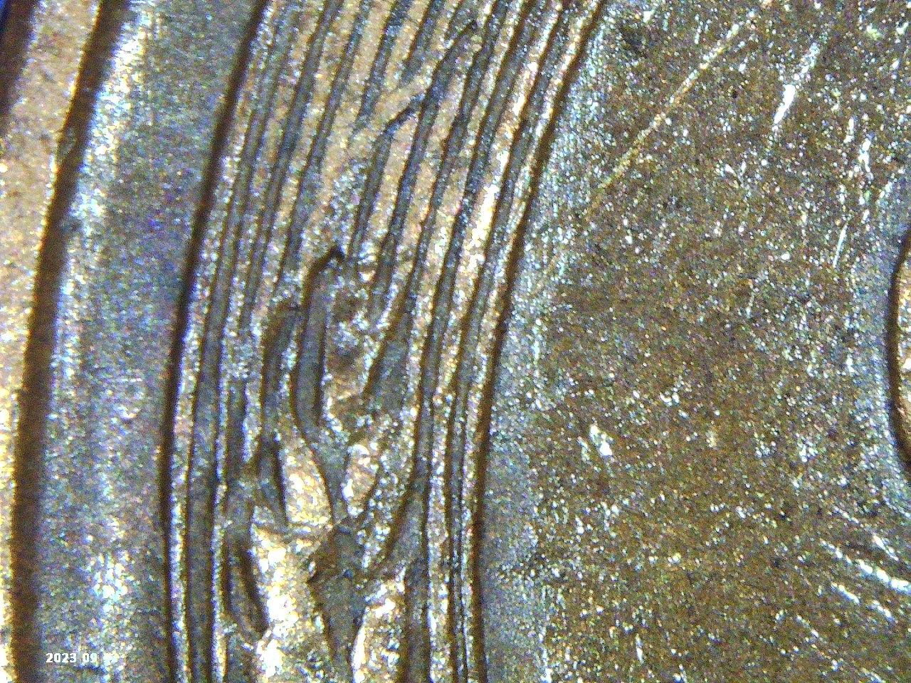 PICT0025.jpg
