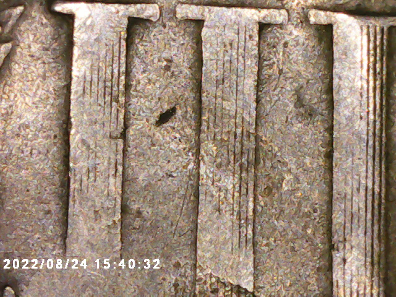 PICT0028.jpg