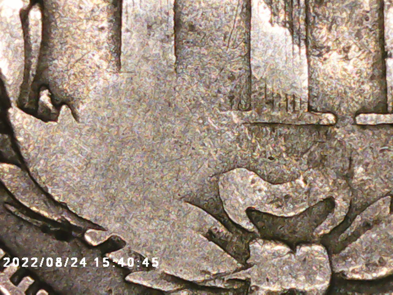 PICT0029.jpg