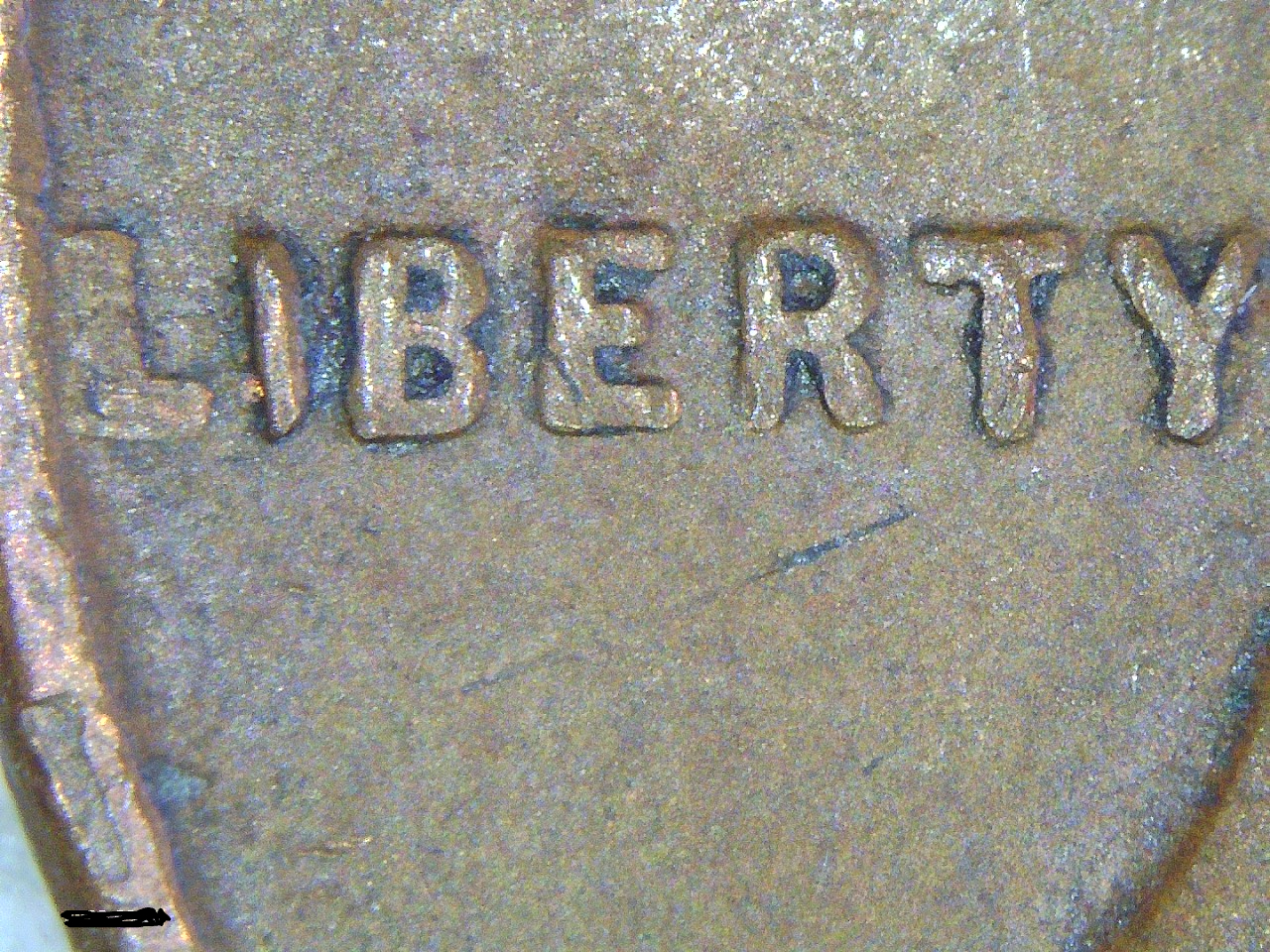PICT0030.jpg