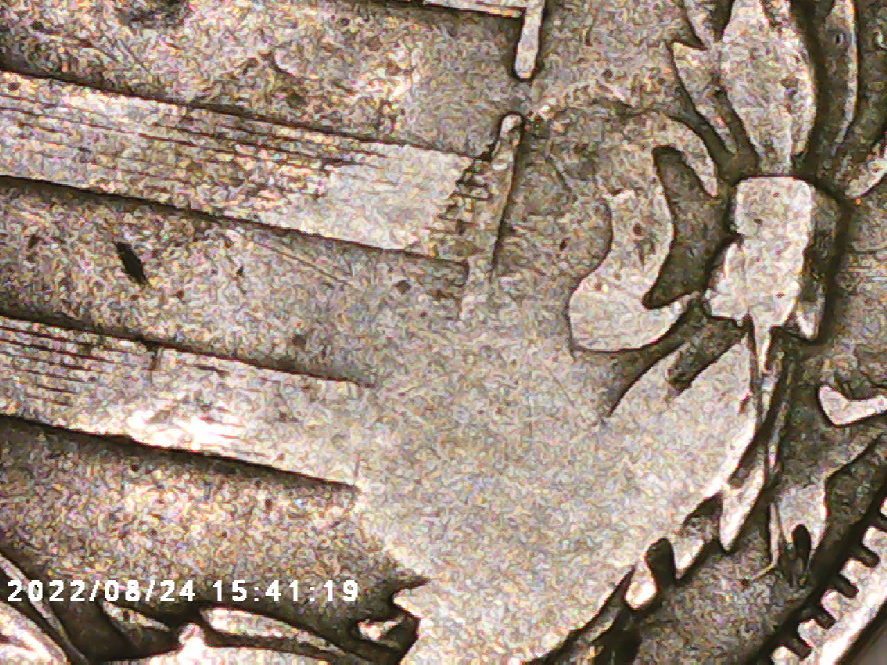 PICT0031.jpg