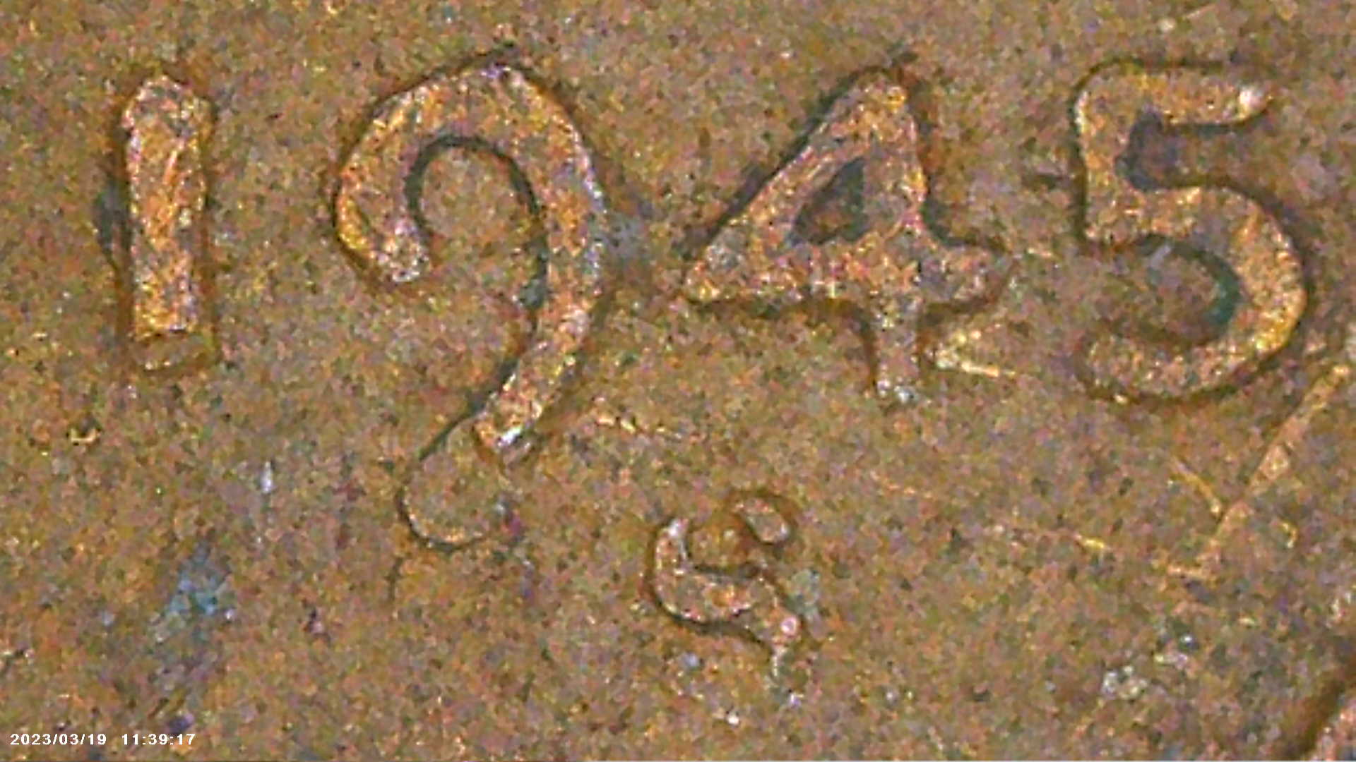 PICT0031.jpg