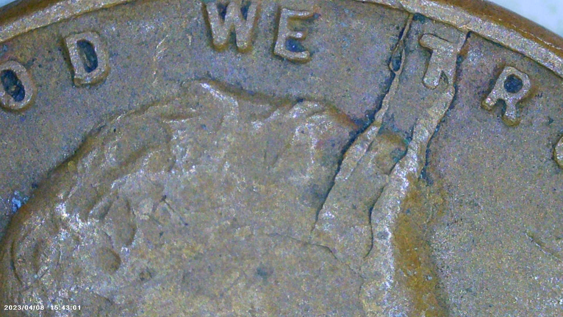 PICT0046.jpg
