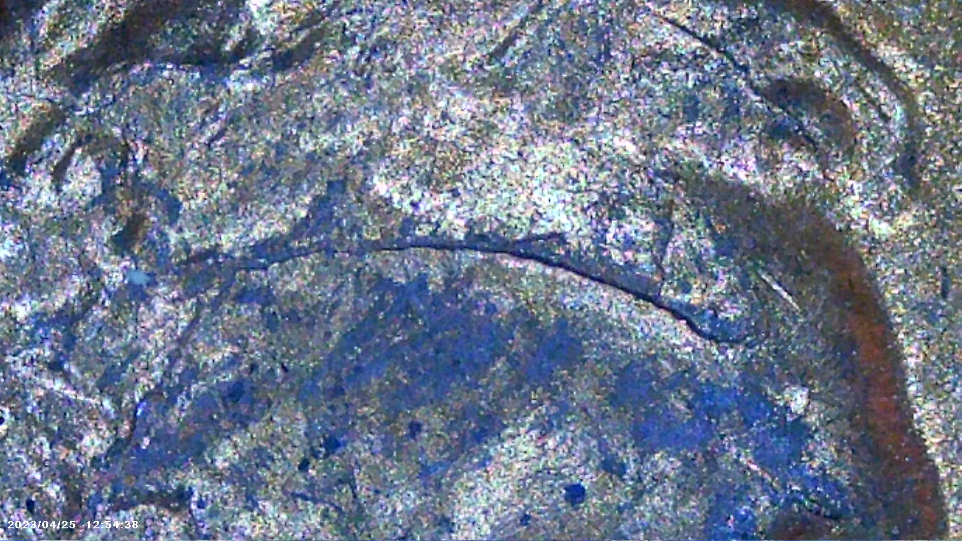 PICT0070.jpg