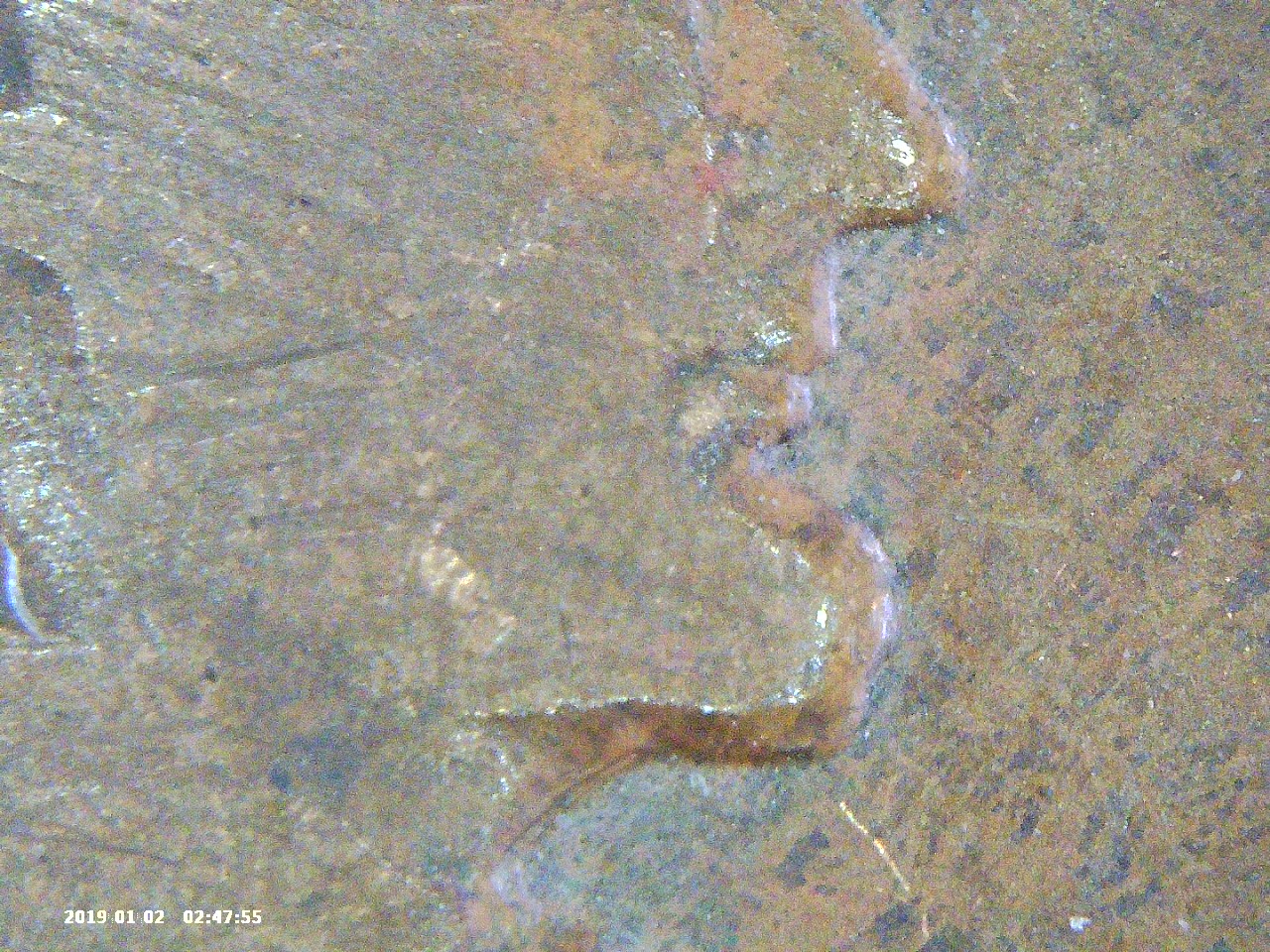 PICT0074.jpg