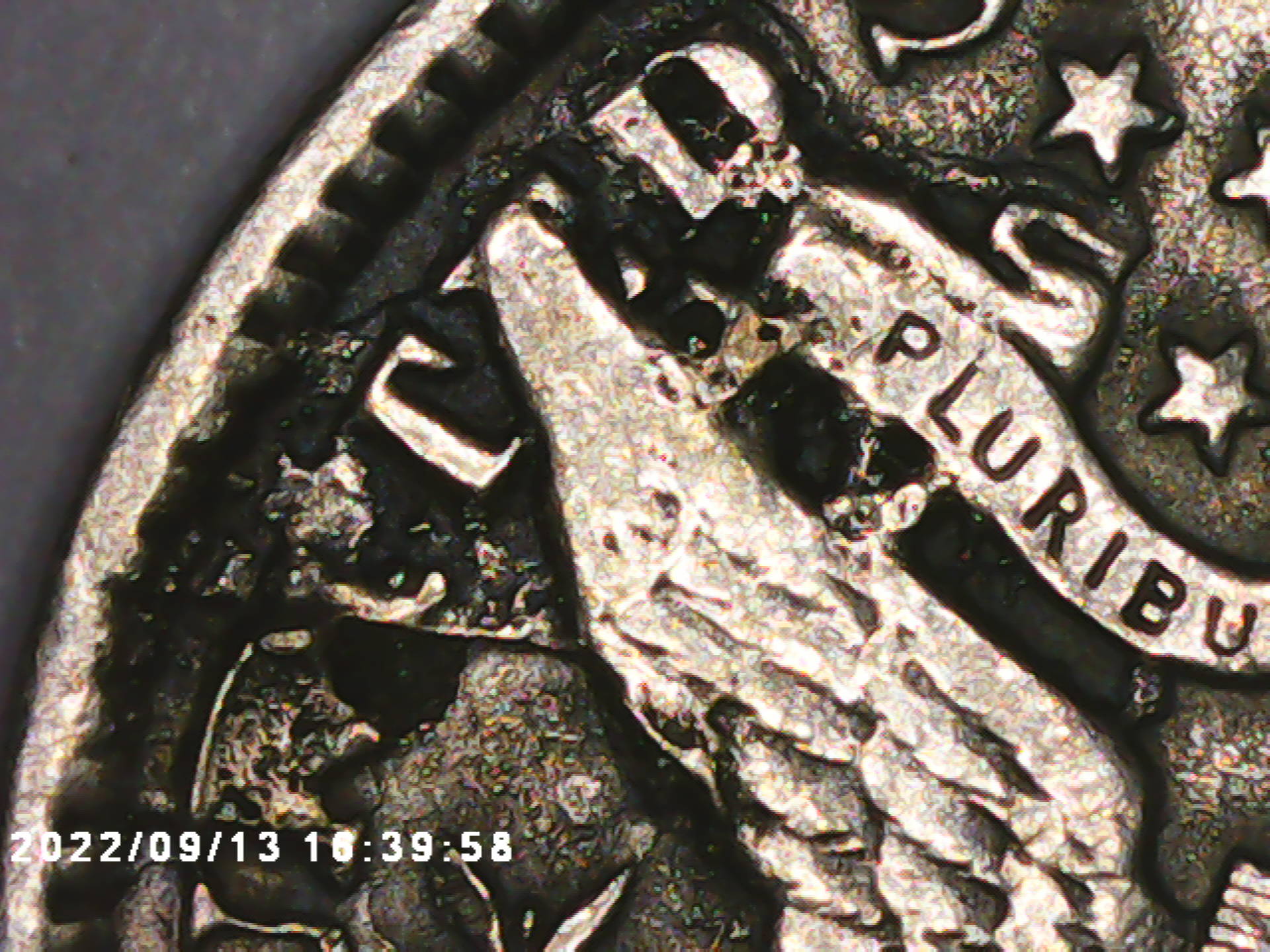 PICT0092.jpg