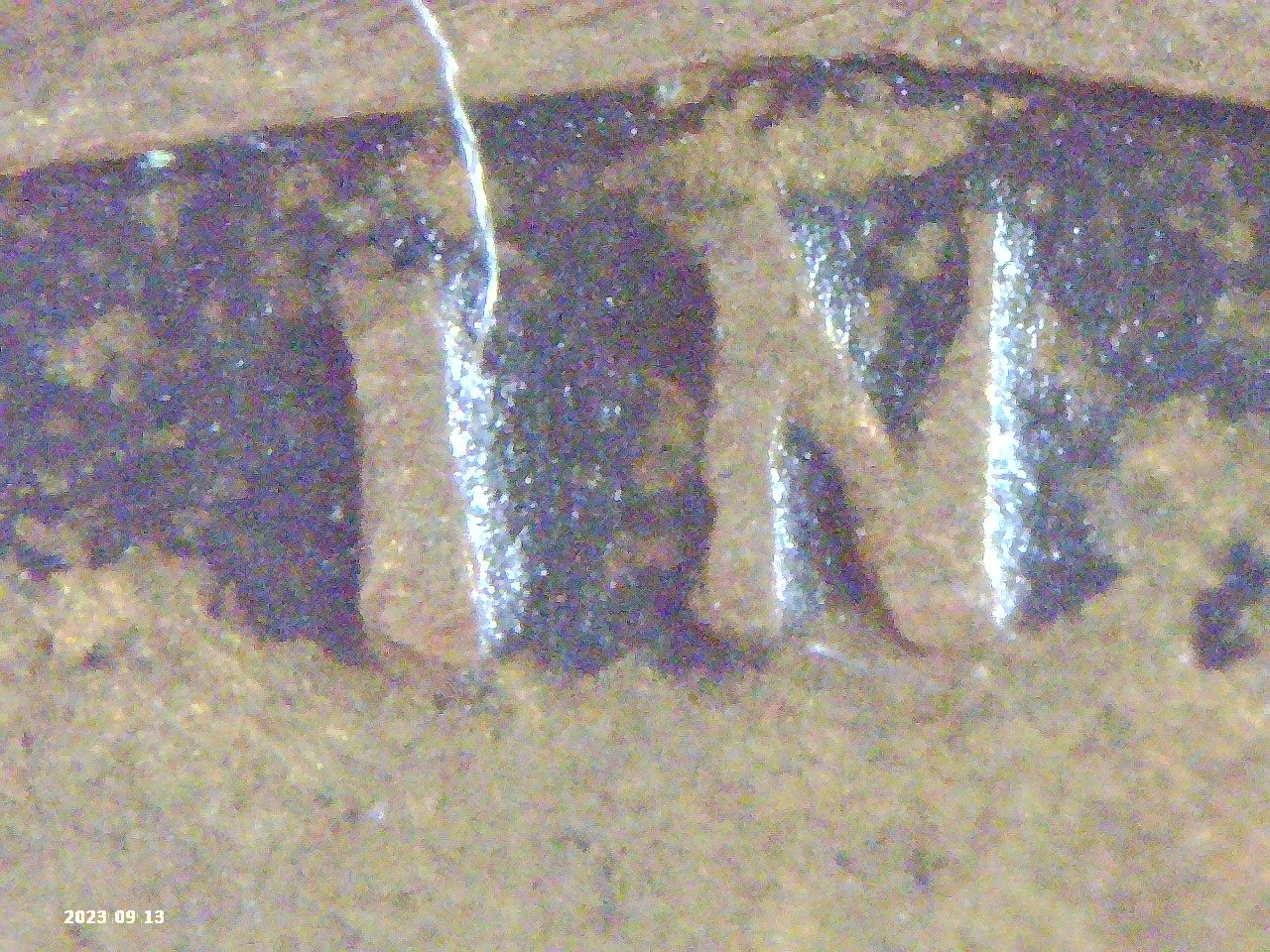 PICT0095.jpg