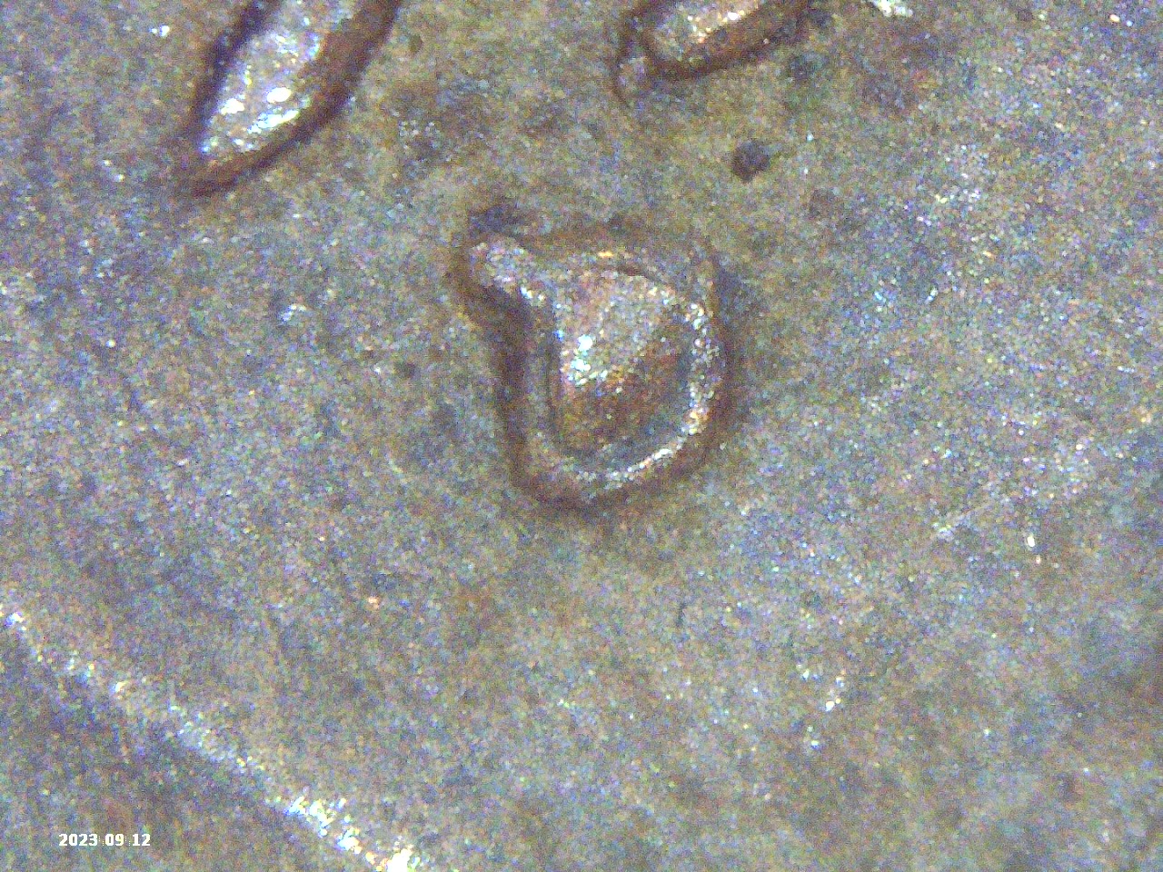 PICT0097.jpg