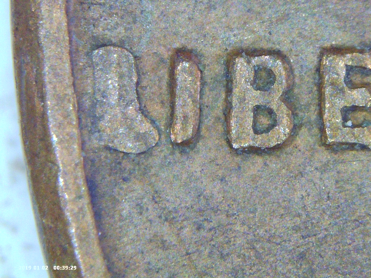 PICT0100.jpg