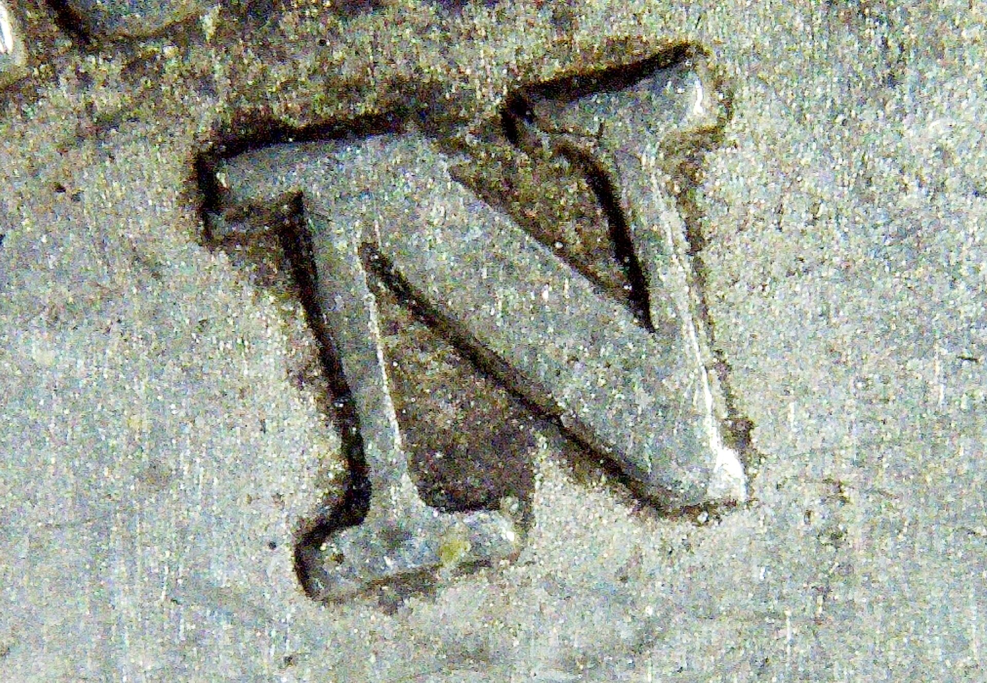PICT0103.jpg