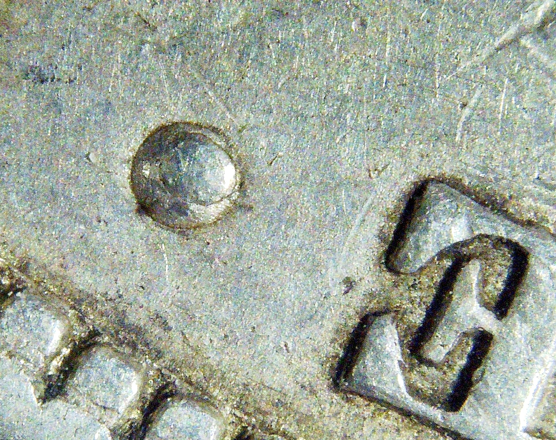 PICT0107.jpg