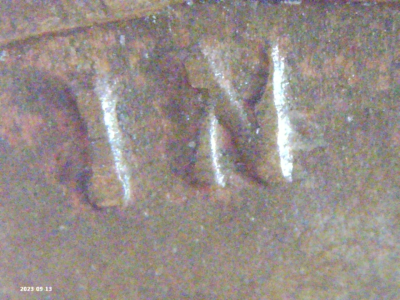 PICT0110.jpg
