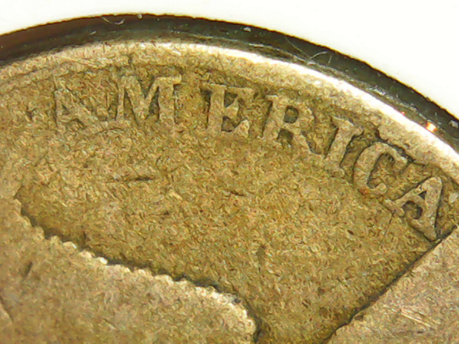 PICT0133.jpg