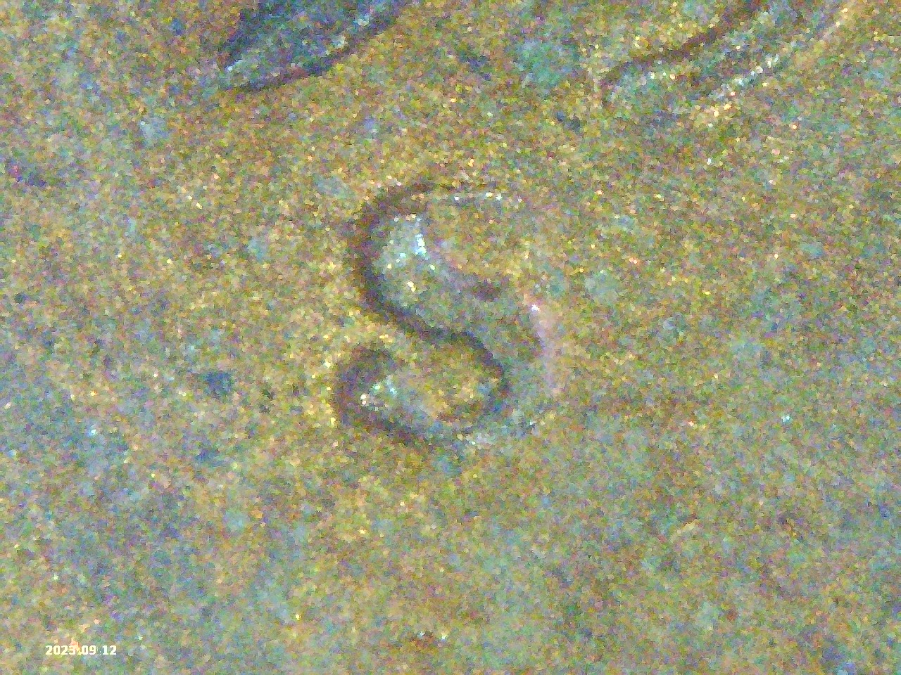 PICT0133.jpg