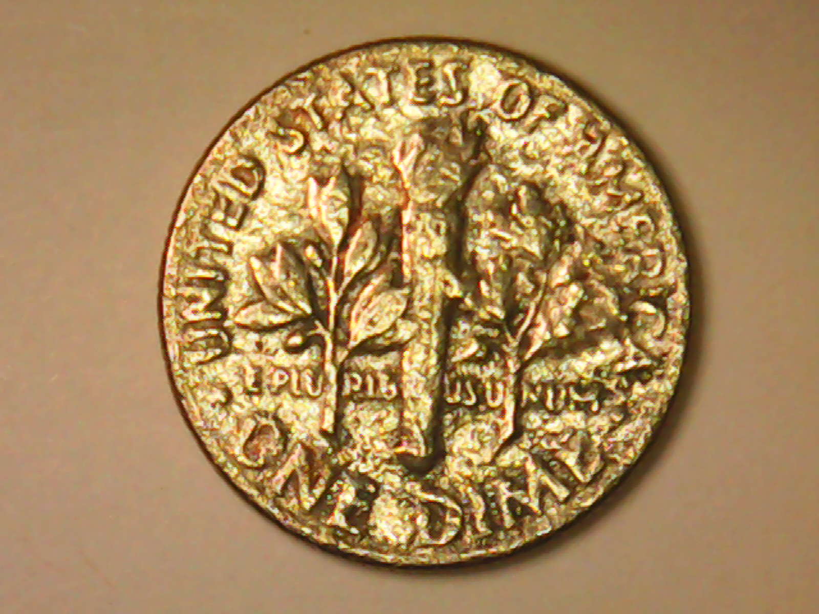 PICT0137.jpg