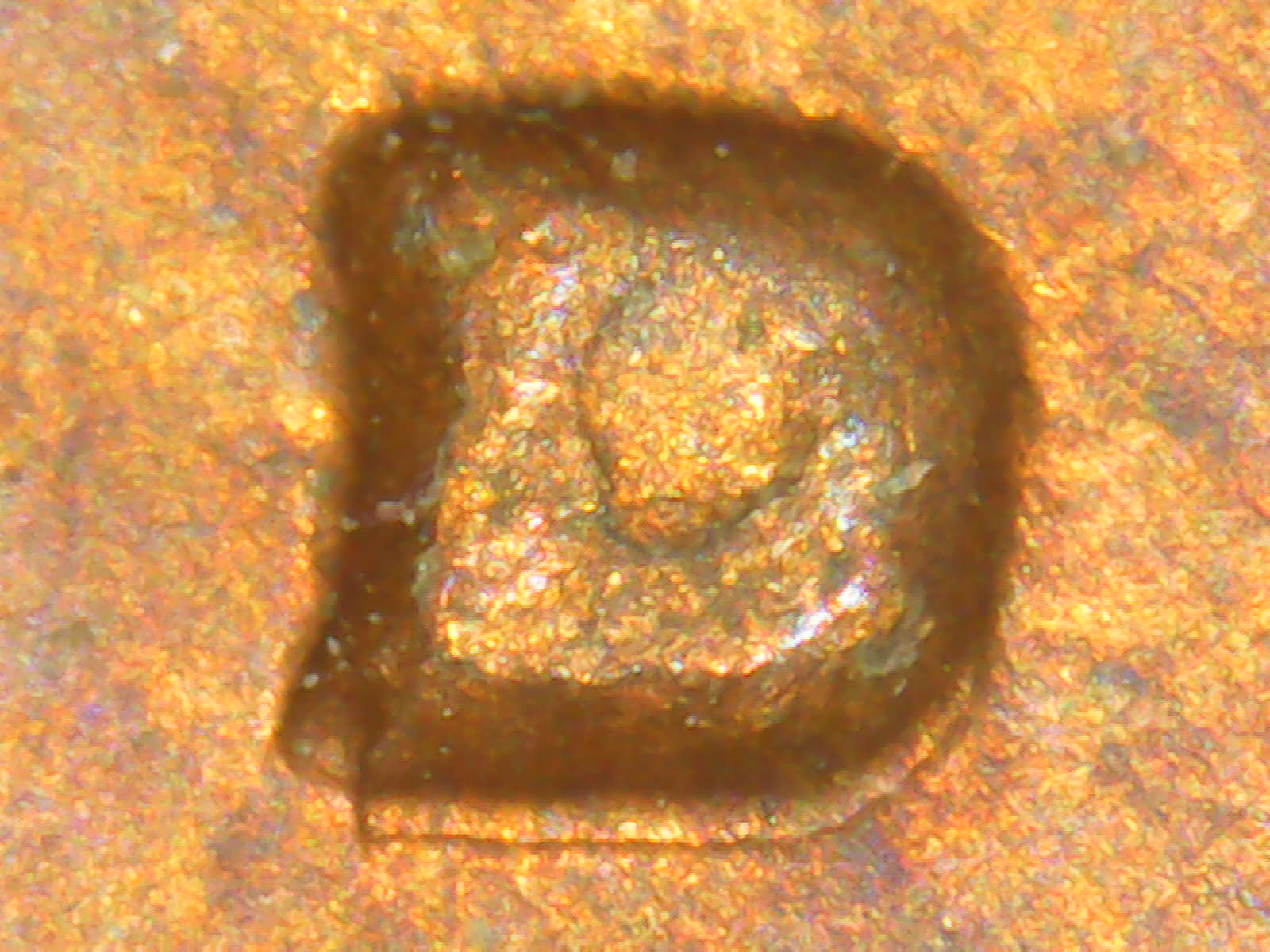 PICT0138.jpg