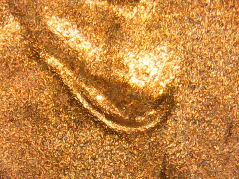 PICT0151.jpg