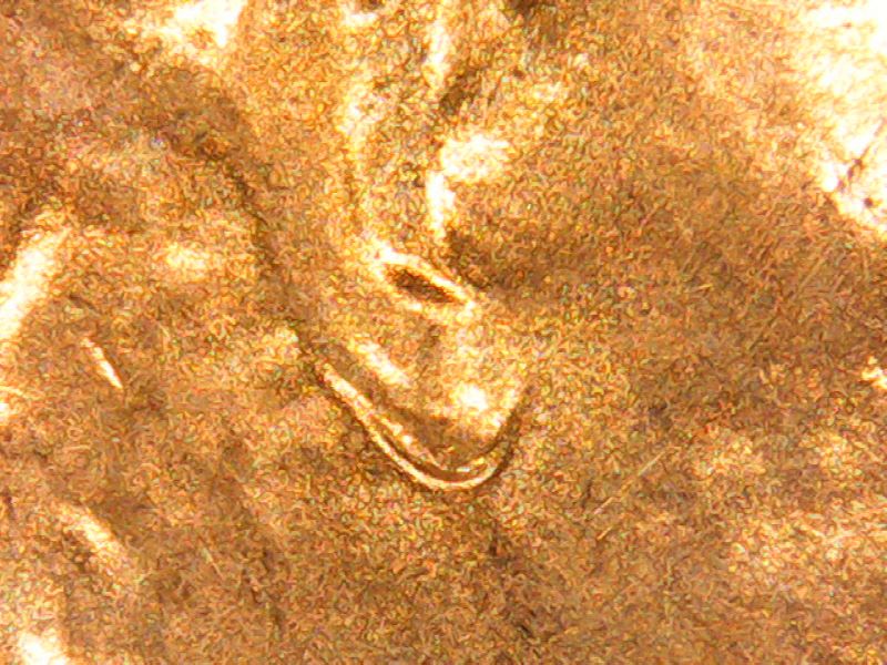 PICT0152.jpg