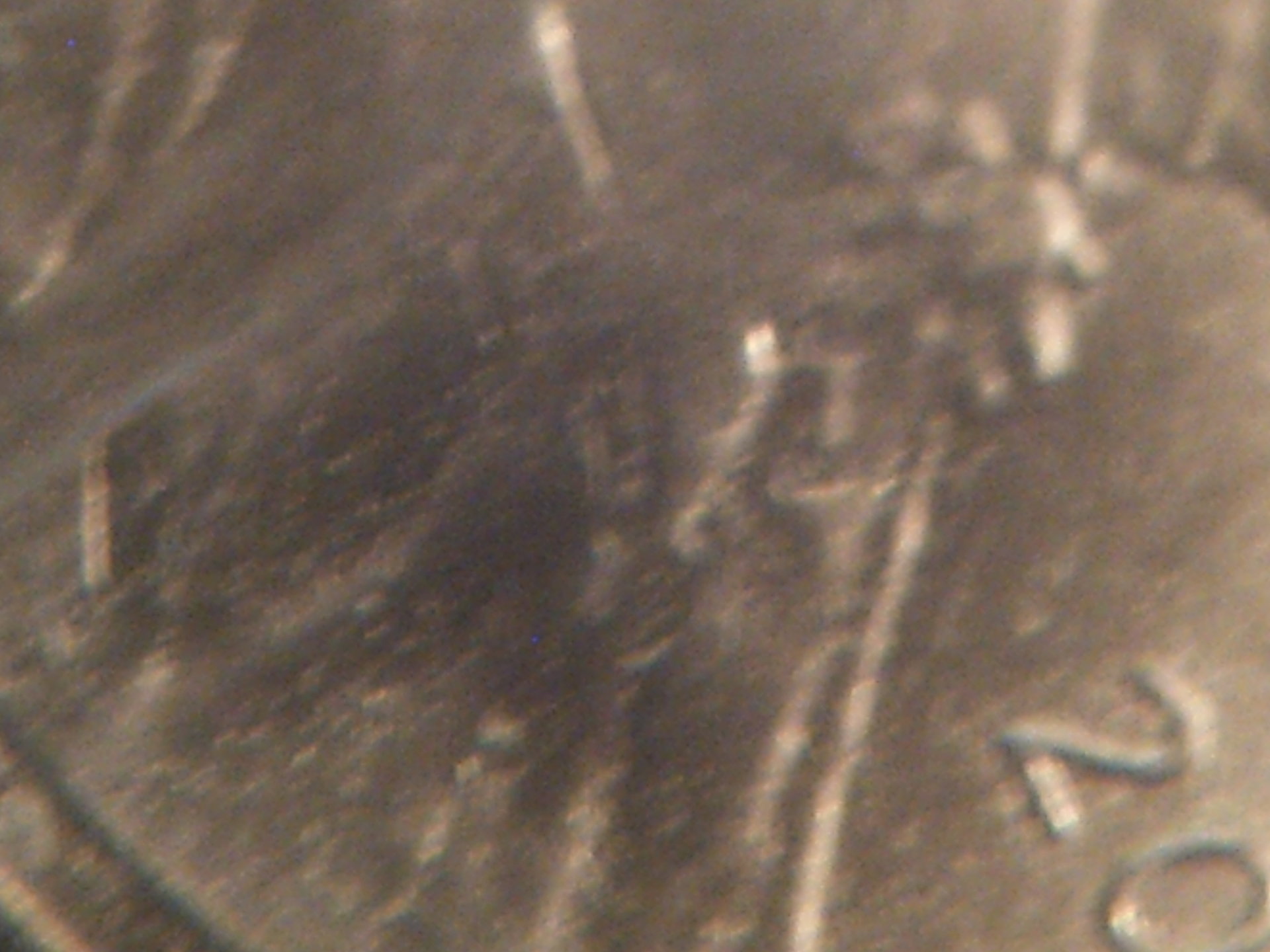 PICT0186.JPG