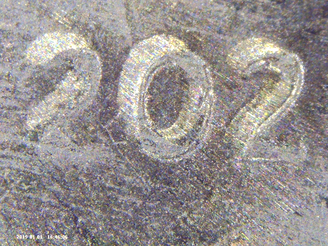 PICT0229.jpg