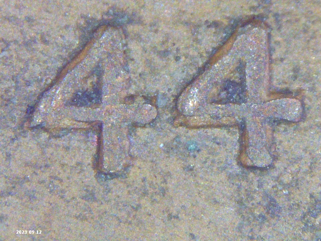 PICT0235.jpg