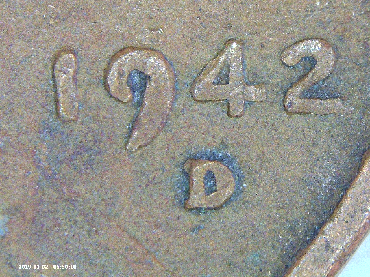 PICT0262.jpg