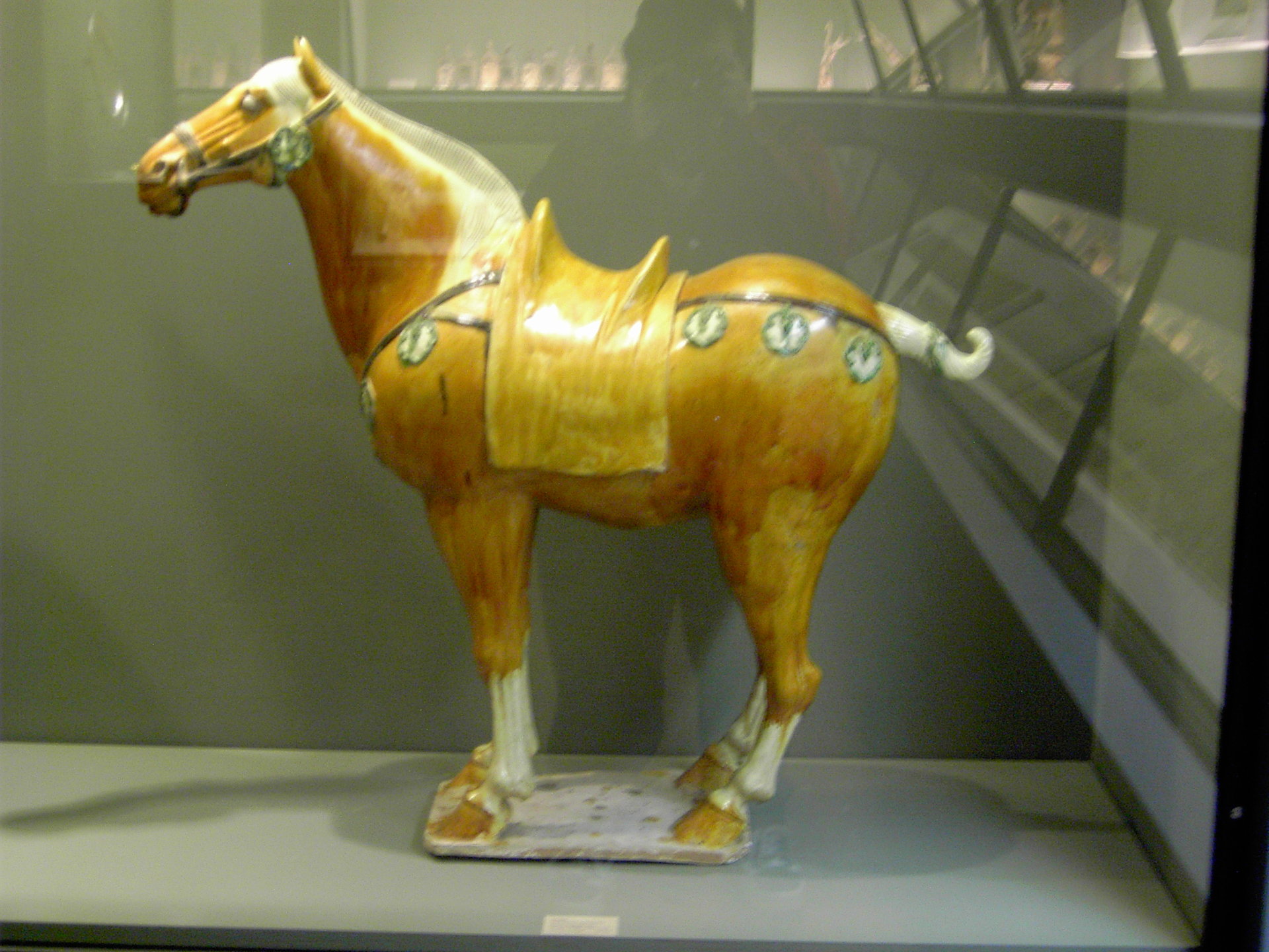 PICT0295.JPG