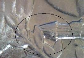Picture 002 (Custom)_edited.jpg