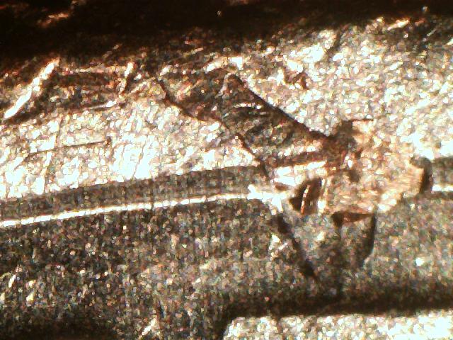 Picture 005.jpg