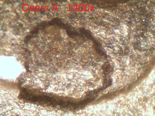 Picture 006-6.jpg