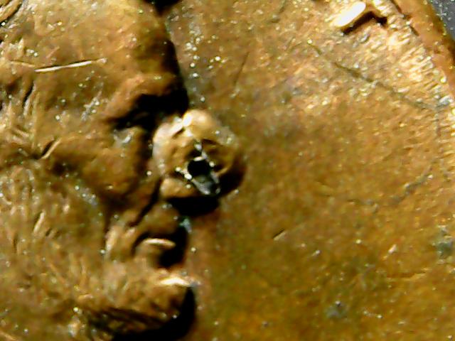 Picture 008.jpg