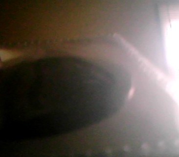 Picture0003.JPG