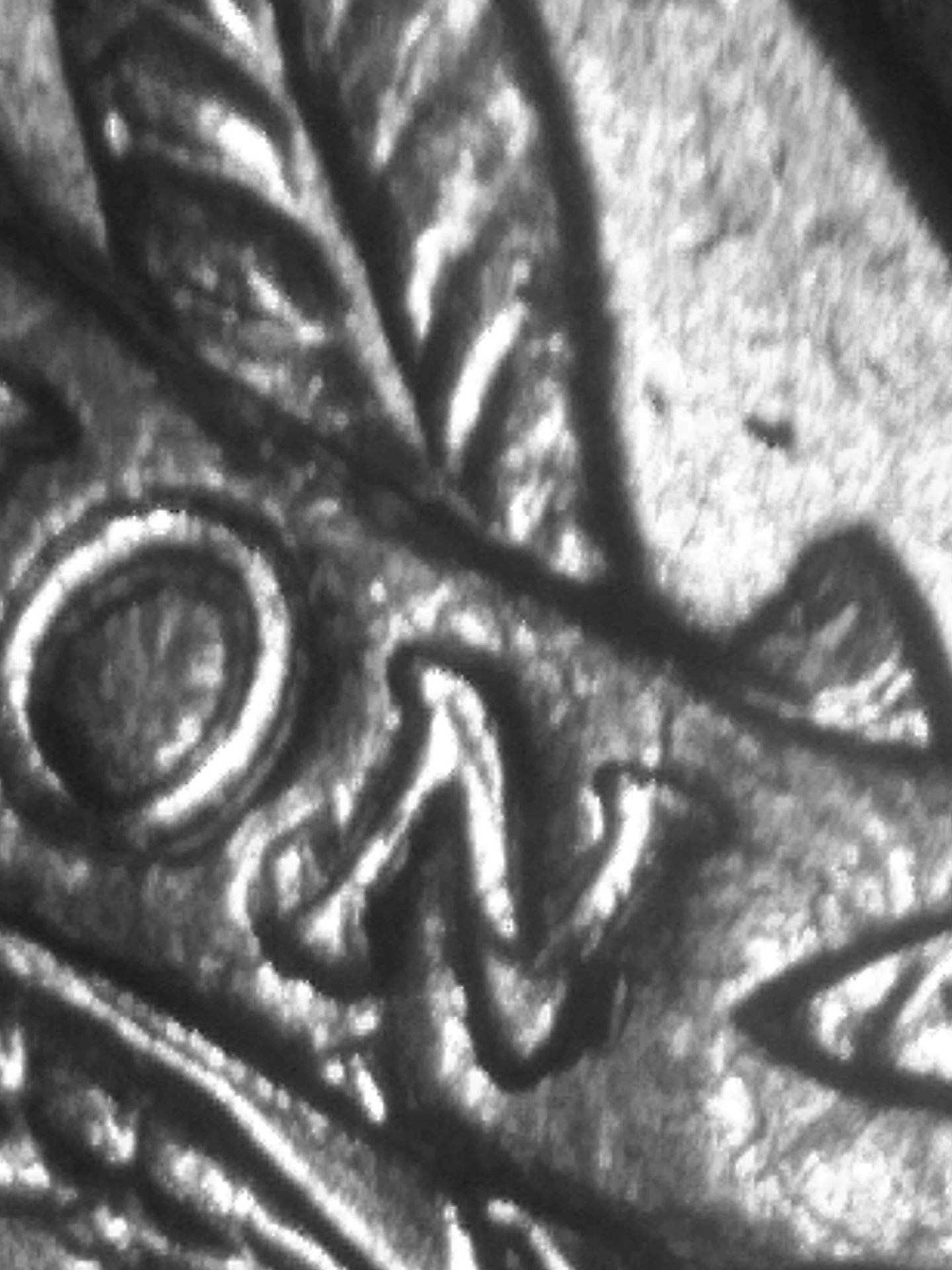 picture_2020_7_19_13_38_23_645.jpg