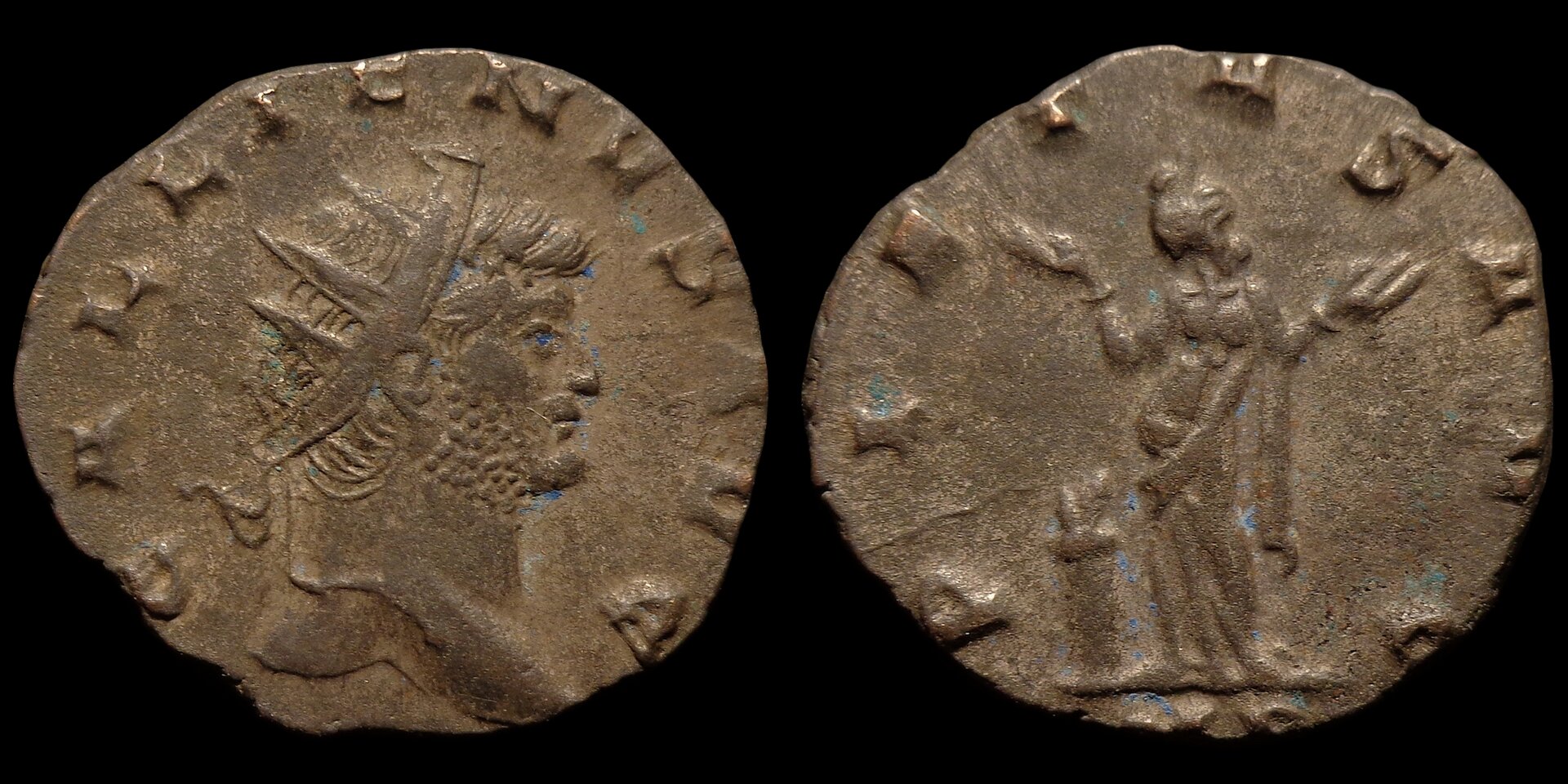 PIETAS AVG.jpg