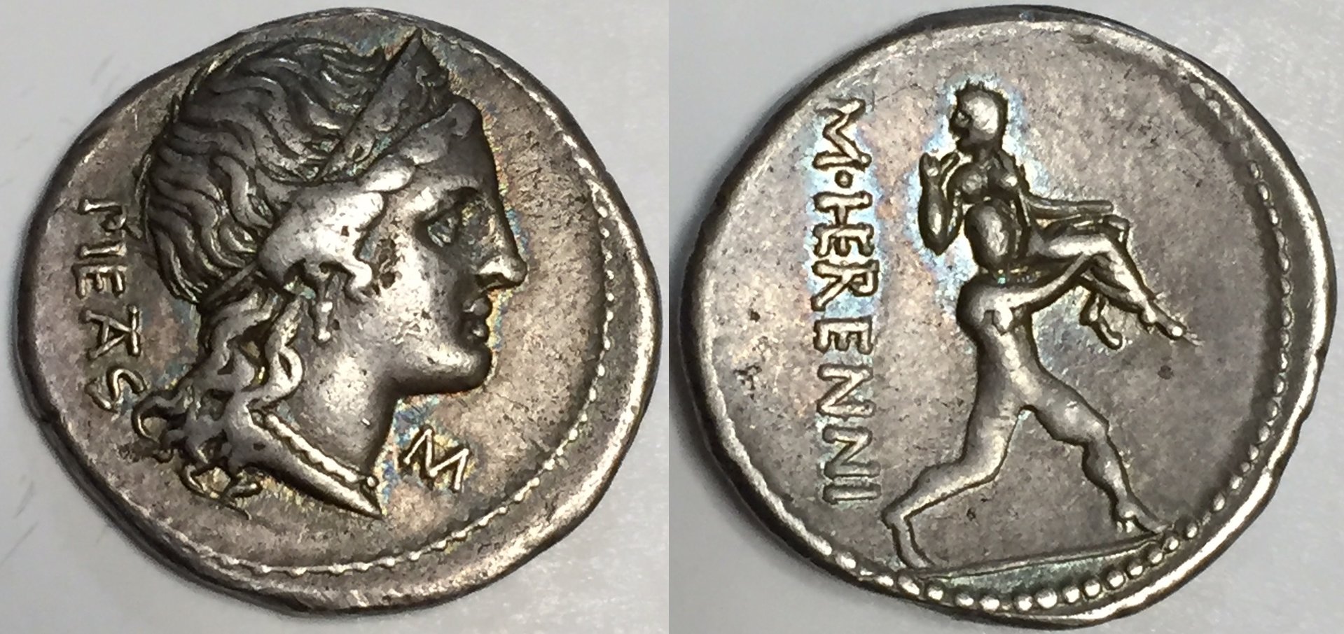 Pietas11.jpg