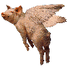 pig_fly.gif