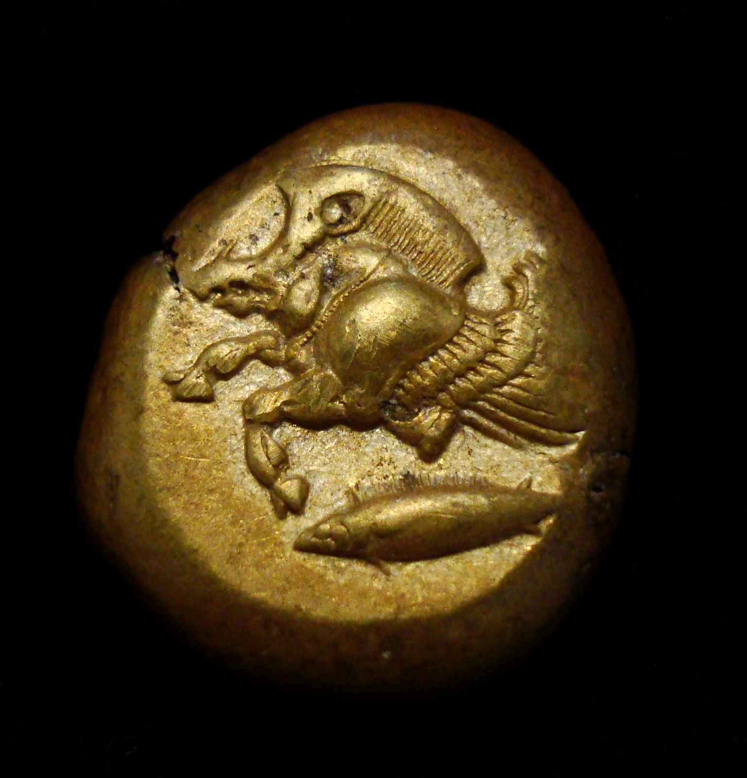 Pigasus obverse.jpg